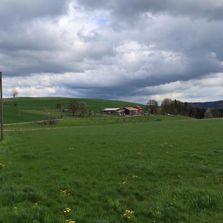 Ferienwohnung Hippenhof Hohenfels  ภายนอก รูปภาพ
