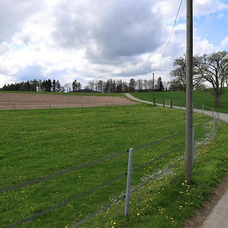 Ferienwohnung Hippenhof Hohenfels  ภายนอก รูปภาพ