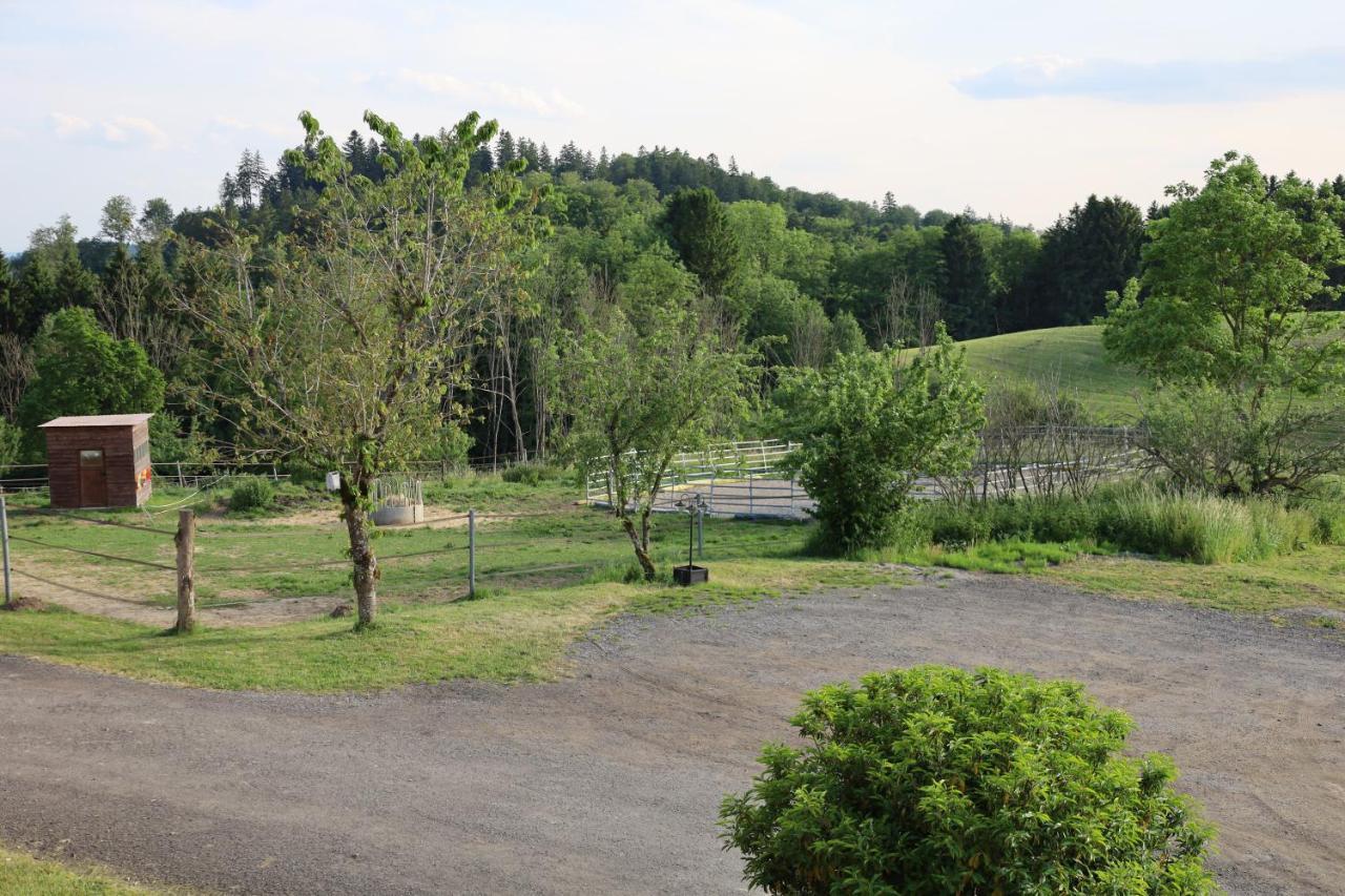Ferienwohnung Hippenhof Hohenfels  ภายนอก รูปภาพ