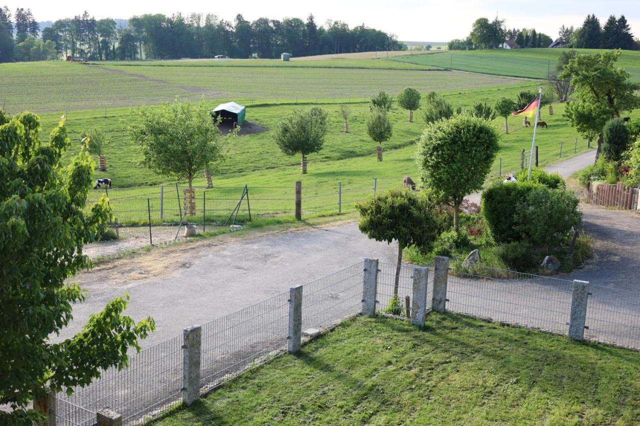 Ferienwohnung Hippenhof Hohenfels  ภายนอก รูปภาพ