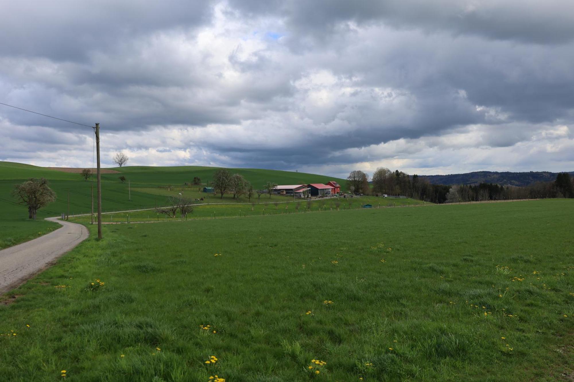 Ferienwohnung Hippenhof Hohenfels  ภายนอก รูปภาพ
