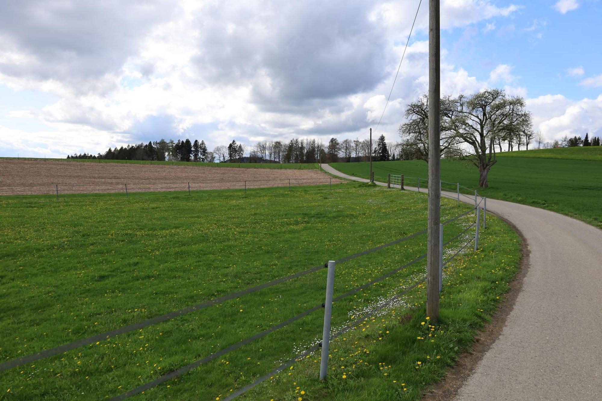 Ferienwohnung Hippenhof Hohenfels  ภายนอก รูปภาพ
