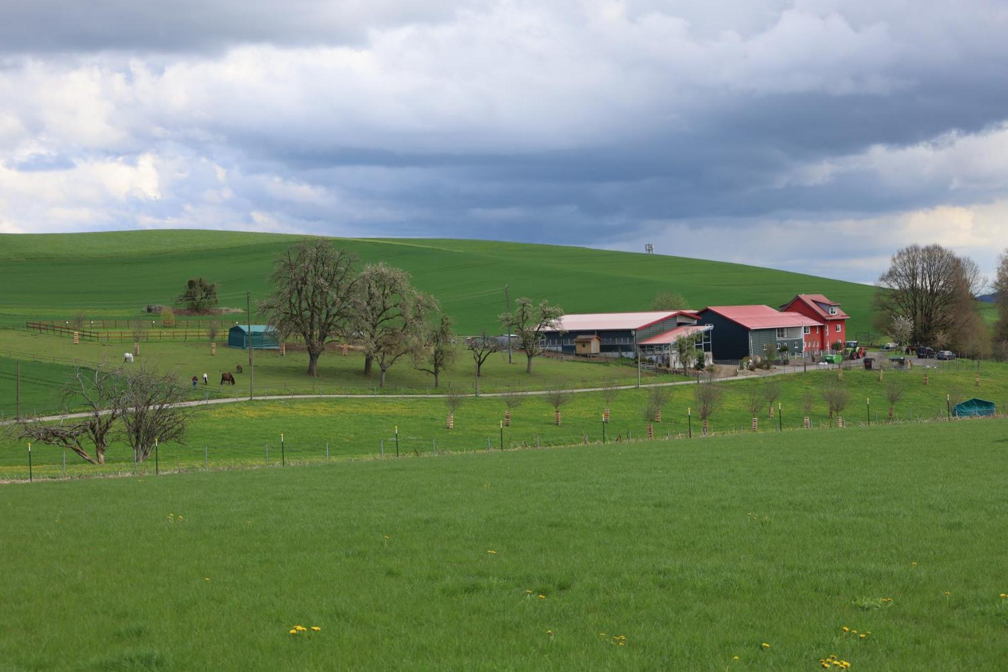 Ferienwohnung Hippenhof Hohenfels  ภายนอก รูปภาพ