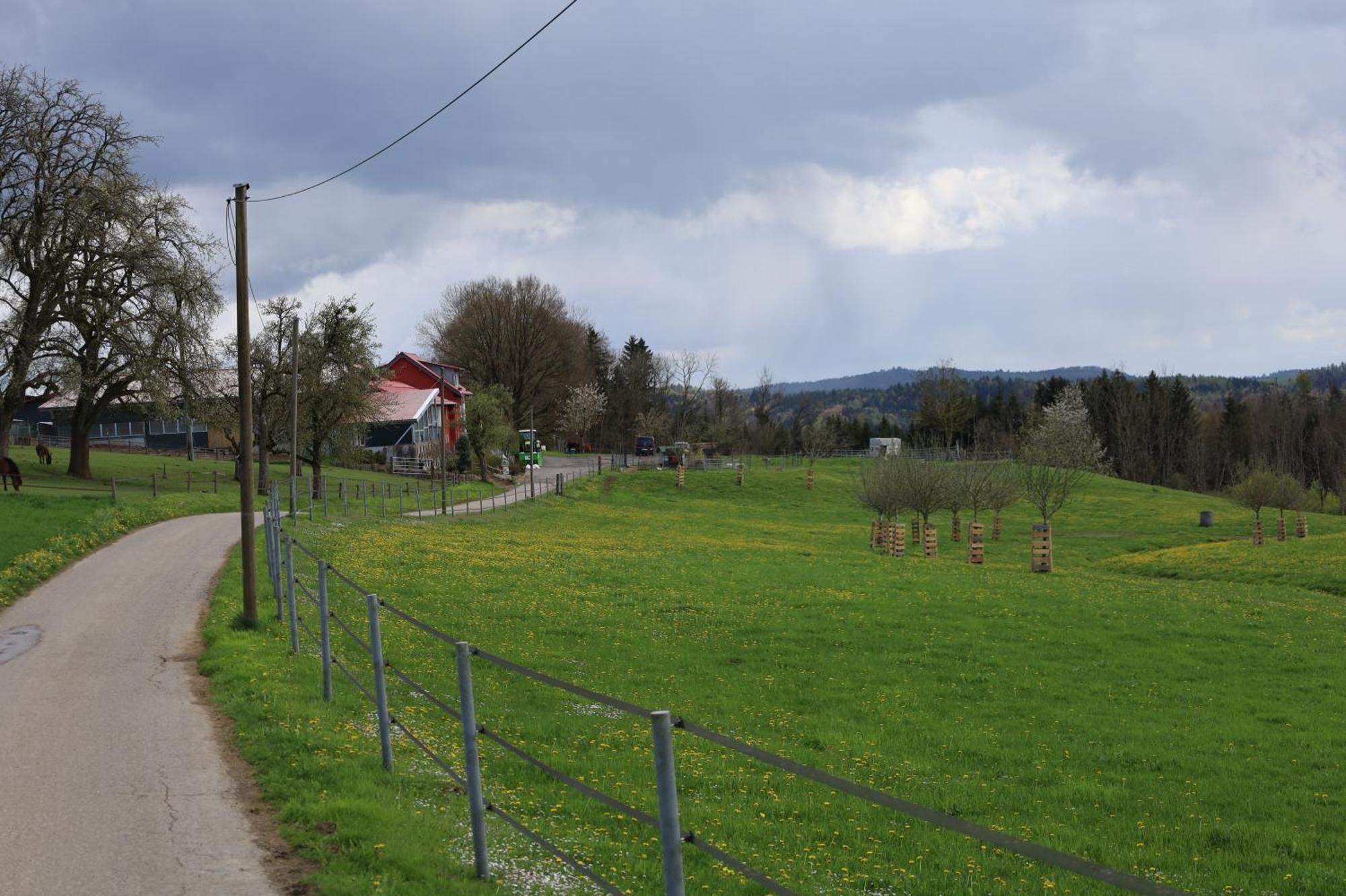 Ferienwohnung Hippenhof Hohenfels  ภายนอก รูปภาพ